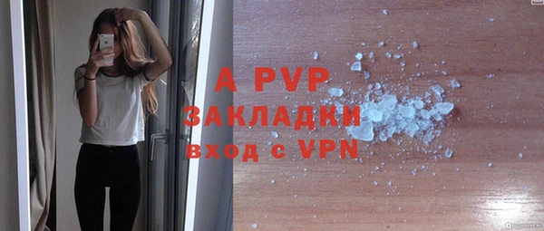 стаф Новодвинск