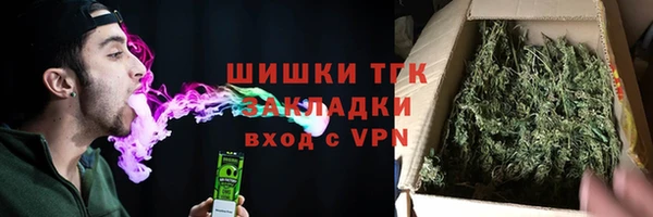 стаф Новодвинск