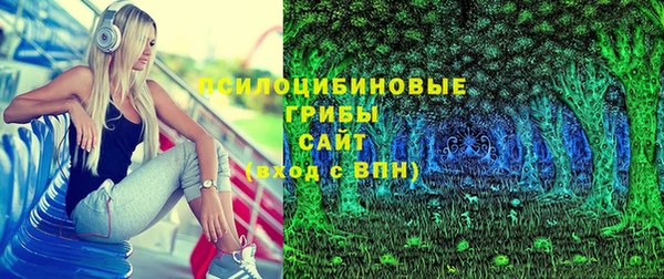 МДПВ Снежногорск