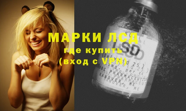 стаф Новодвинск