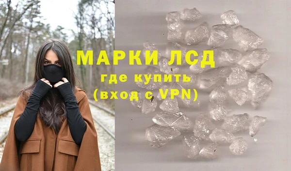 стаф Новодвинск
