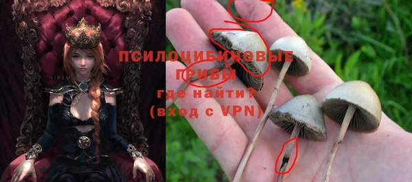 стаф Новодвинск