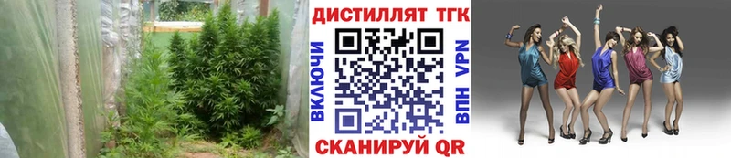 ТГК гашишное масло  наркотики  Бердск 