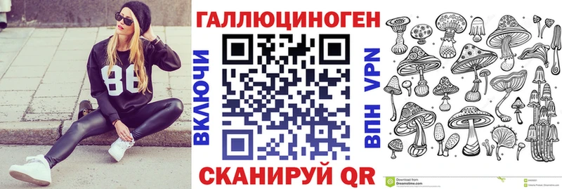 Галлюциногенные грибы Psilocybe Бердск