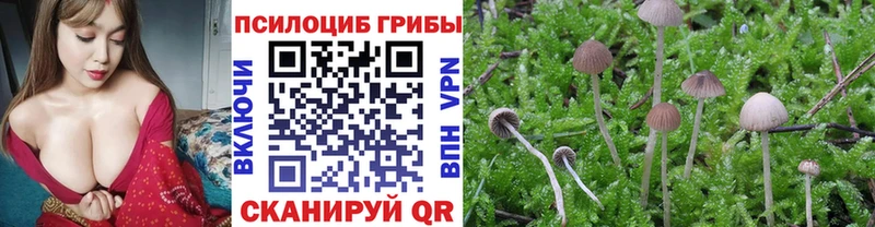 Псилоцибиновые грибы ЛСД  купить наркотик  Бердск 