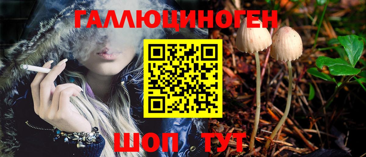 Галлюциногенные грибы мухоморы  хочу наркоту  Бердск  Вход с VPN 