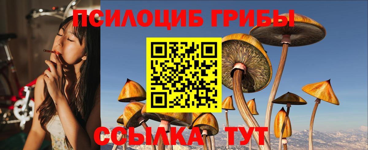 Галлюциногенные грибы GOLDEN TEACHER Бердск